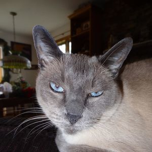 Meet your Posher, Darlene